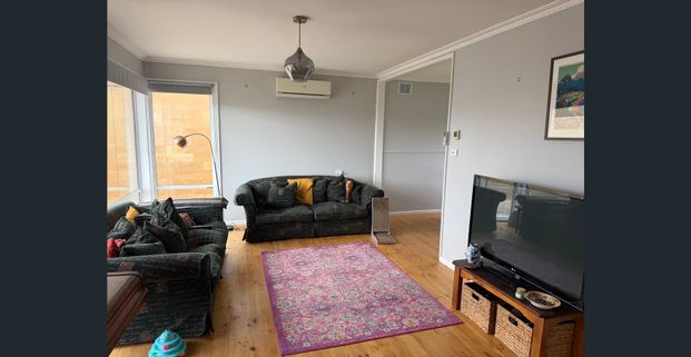 Neat, Comfortable Living with Fantastic Shedding - Photo 1