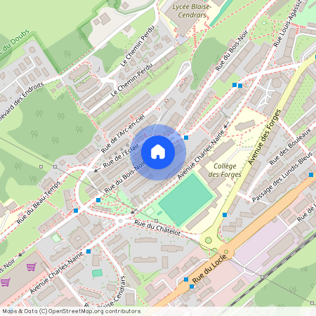 2300, La Chaux-de-Fonds, Rue du Bois-Noir, 41