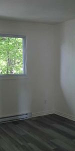 Appartement à louer 4 et demi - Vieux Longueuil - Photo 3