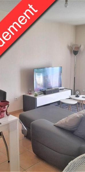 Location Appartement 3 pièces 55m² ST LAURENT SUR SAONE 01750 - Photo 1