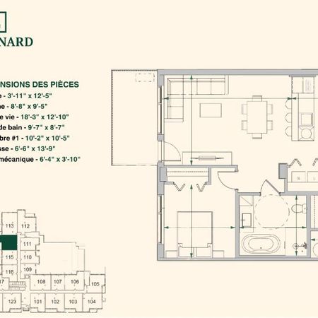 3 1/2 neuf - 1 chambre - Québec Sainte-Foy - Photo 4