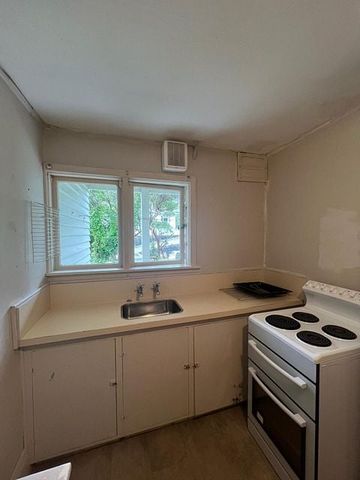 Large 1 Bedroom Flat on Hataitai Road - Photo 4