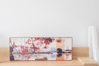 Avenida Dom Afonso Henriques