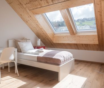 3.5 Zimmer Attikawohnung 20min von HB Zürich - Photo 5