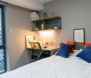 Premium Studio - Photo 3