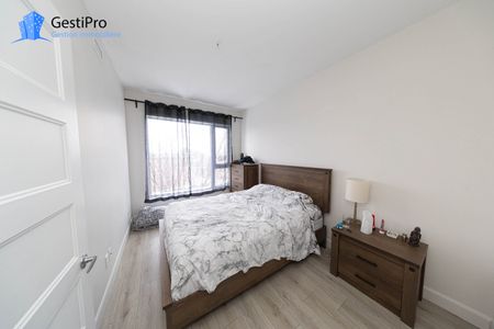 20 Charest Ouest – Le Kaméléon - Photo 3