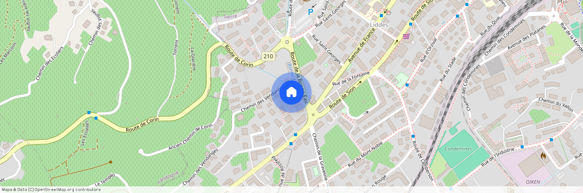 3960, Siders, Chemin Des Vendanges, 5