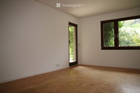 Grosszügige Wohnung im Grünen - Photo 5