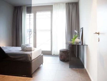 Fully furnished apartments in Paradiso - Photo 4