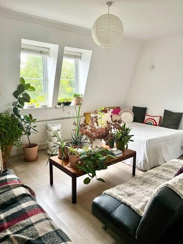 Room in a Shared Flat, Clarence Road, E5 - Photo 2
