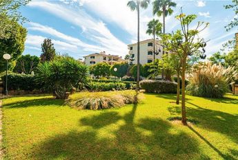 3 Carrer del Pingüí, Municipality of Palma, Balearic Islands 07610