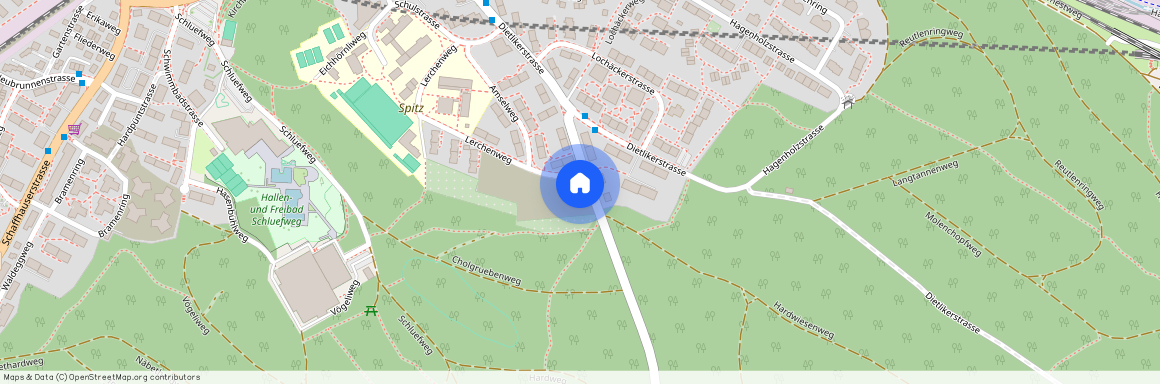 Wallisellerstrasse 8, 8302, Kloten