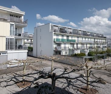 Geniessen Sie den Frühling auf Ihrem eigenen Gartensitzplatz! - Foto 4