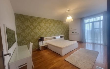 IANCU NICOLAE apartament penthouse de inchiriat - Fotografie 4