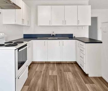 1 Bedroom, 1 Bathroom Apartment in Devonport - Photo 1