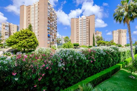 Ref. 7195 One Bedroom Apartment in Campoamor - Photo 3