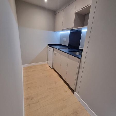 Location Appartement 1 pièce 39m² ST BRIEUC 22000 - Photo 3