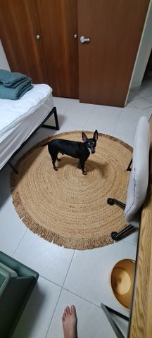 Larrakeyah - Photo 3