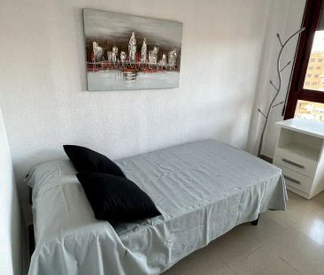 Castellón De La Plana / Castelló De La Plana - Foto 6