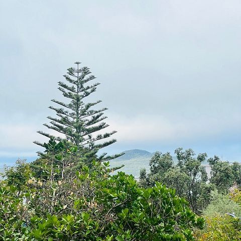 *PRICE DROP* 2bedroom unit with balcony +SEA VIEW - Photo 1