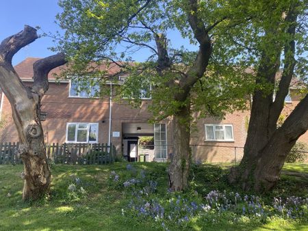 2 bedroom maisonette to rent - Photo 3