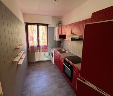 Location Appartement 2 pièces 50m² AJACCIO 20000 - Photo 4