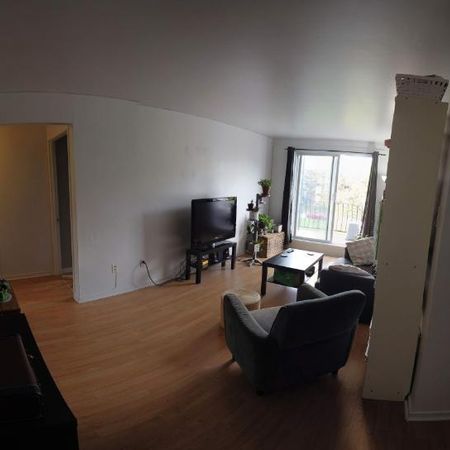 2 CH - 1 SDB - Québec - $1,257 /mo - Photo 3