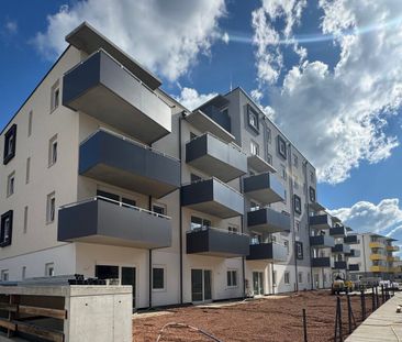 ERSTBEZUG „ein viertel grün“ in Wiener Neustadt - schöne 3 Zimmer G... - Photo 6