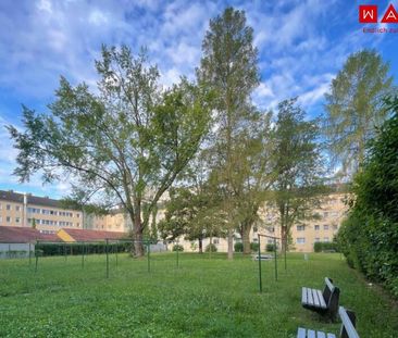 Gemütliche 3-Zimmer-Wohnung im Erdgeschoss – Linz/Bindermichl – Her... - Foto 1