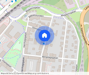 Långgatan 61 - Foto 1