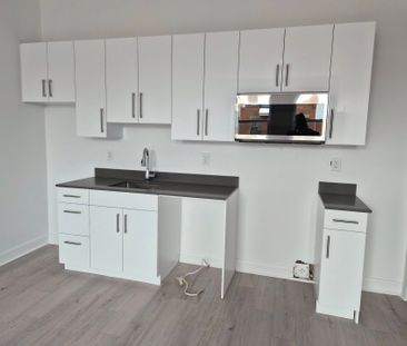 Appartement à Montréal (Le Sud-Ouest) - Photo 2