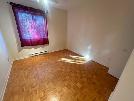 59 Rue Galipeau - Photo 5