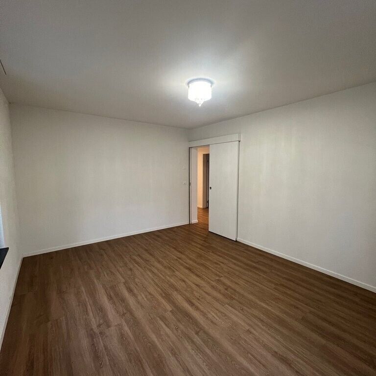 Alles in der Nähe! - Photo 1