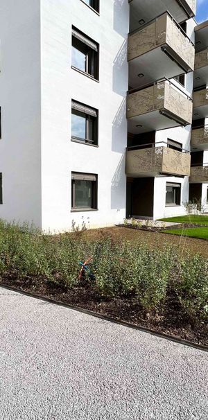 3.5 Zimmer, 103 m², EG - Foto 1