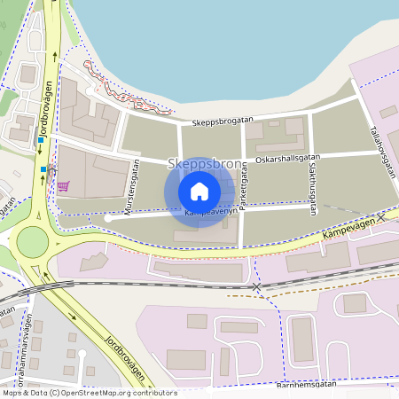 Jönköping, Kämpeavenyn, 17, 55329