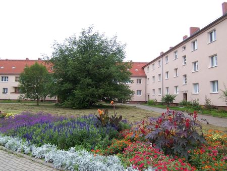 Wohnen im grünen Stadtfeld West - Foto 3