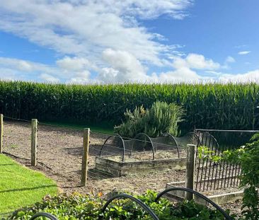 Humble Country Cottage - Photo 5