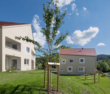 Ihr neues Zuhause wartet: Großzügige 3-Zimmer-Wohnung mit Einbauküche - Photo 1