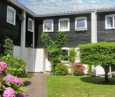 3 bedroom terraced house to rent - Photo 5