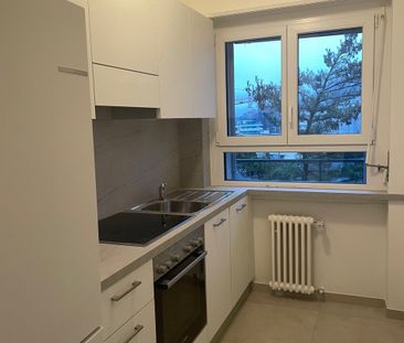 Via al Boschetto 3, 6900, Lugano - Photo 3