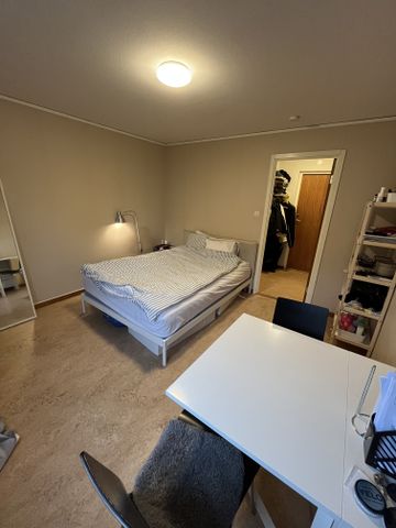 Sernanders väg, Uppsala - Foto 2