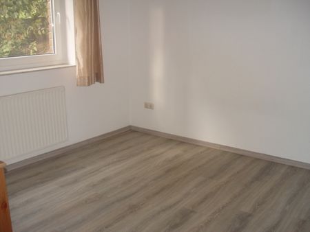 Geräumige Souterrainwohnung - Foto 4