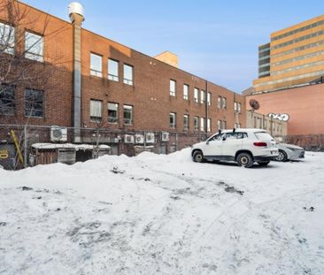 Appartement à louer - Montréal (Le Plateau-Mont-Royal) (Le Plateau-... - Photo 2