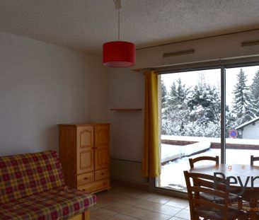 Location Appartement 1 pièce 28m² FONT ROMEU ODEILLO VIA 66120 - Photo 2