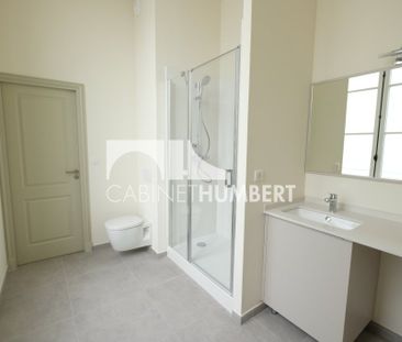 Location Appartement 1 pièce 42m² ST ETIENNE 42000 - Photo 1