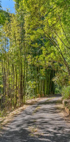 Goonengerry, NSW 2482 - Photo 1