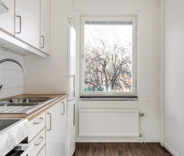 Mossebogatan, Sommen - Foto 3