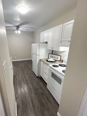 Tillson Apts 3 - ALL INCLUSIVE - Photo 1