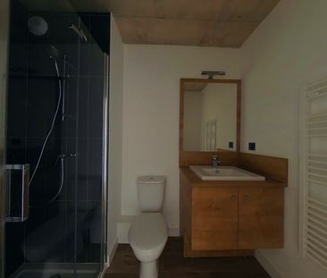 Location Appartement 1 pièce 18m² MONTPELLIER 34000 - Photo 2