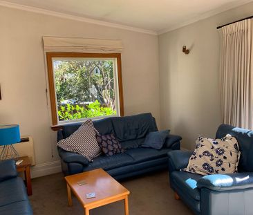 Alfie - Furnished house rental Nelson South - Photo 5